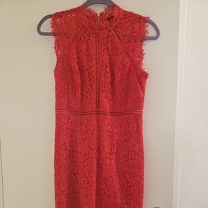 Bardot Paris Lace Dress